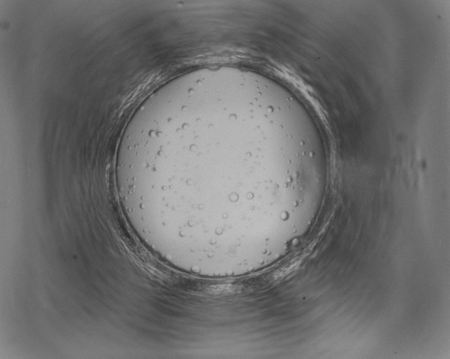 X0000068830153200605050927