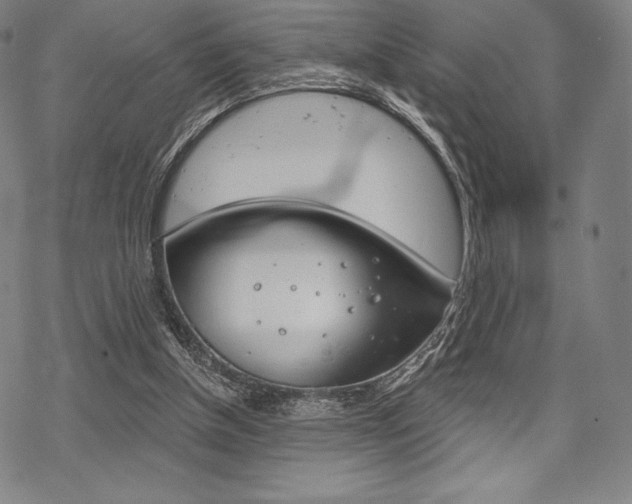 X0000068830154200605050927