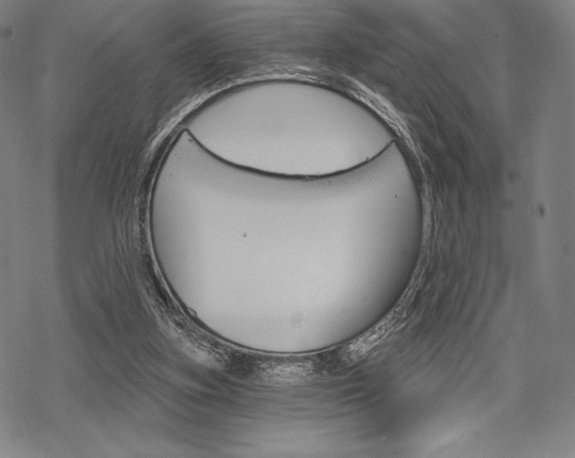 X0000068830155200605050927