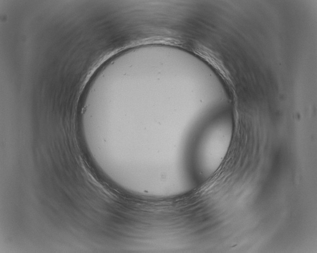 X0000068830156200605050927