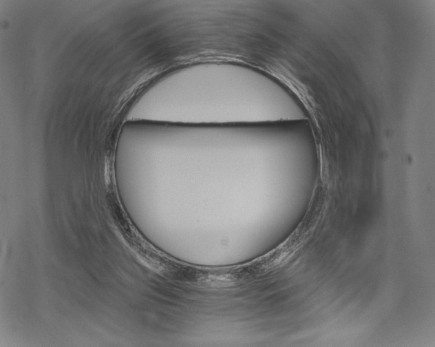 X0000068830157200605050927