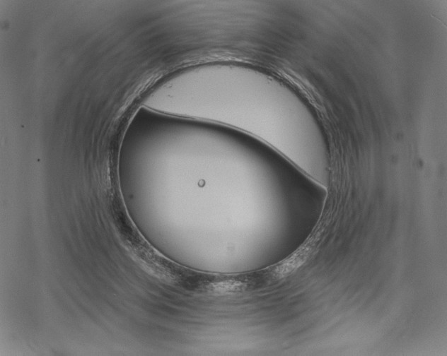 X0000068830158200605050927