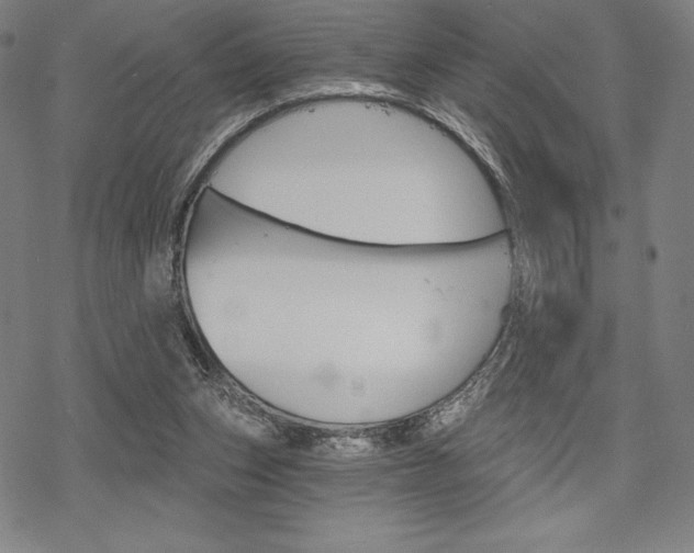 X0000068830159200605050927