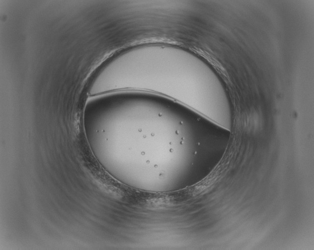 X0000068830160200605050927