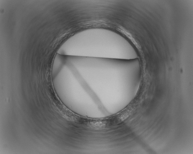 X0000068830161200605050927