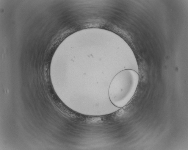 X0000068830162200605050927