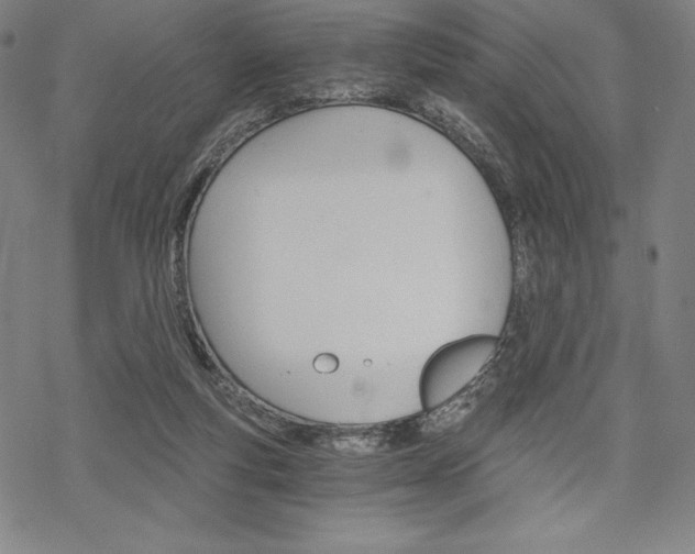 X0000068830163200605050927