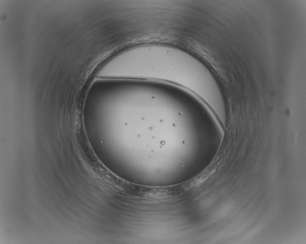 X0000068830164200605050927