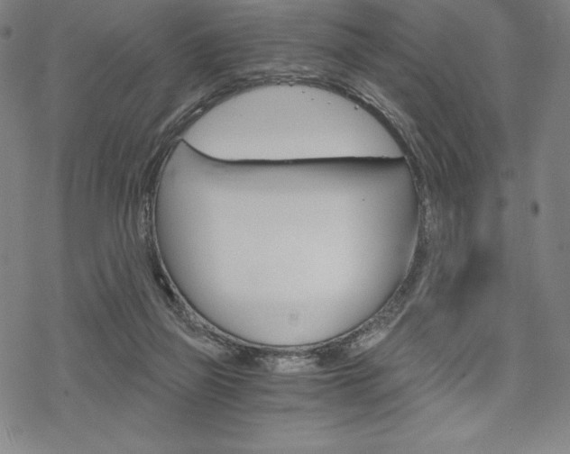 X0000068830165200605050927