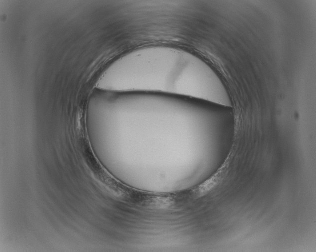 X0000068830166200605050927