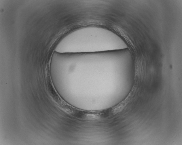 X0000068830167200605050927