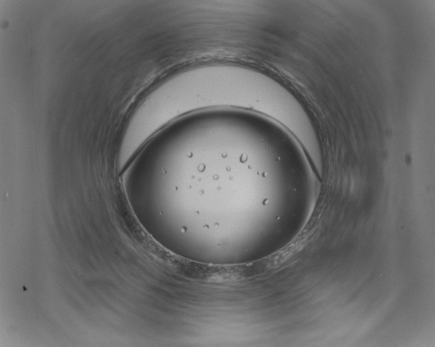 X0000068830168200605050927