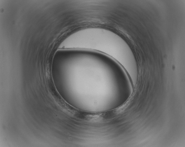 X0000068830170200605050927