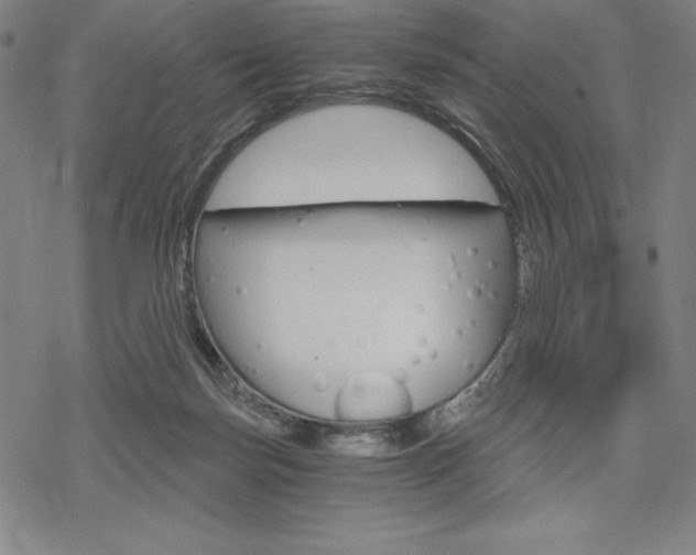 X0000068830171200605050927