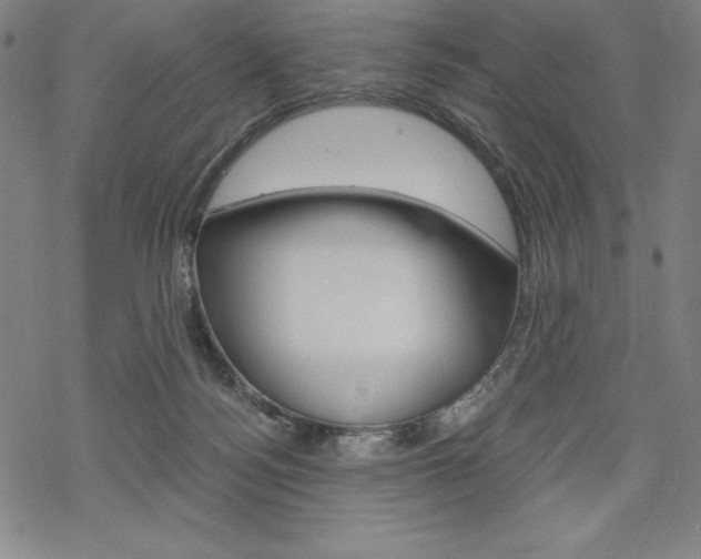 X0000068830172200605050927