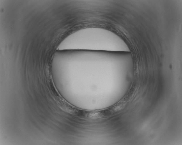 X0000068830173200605050927