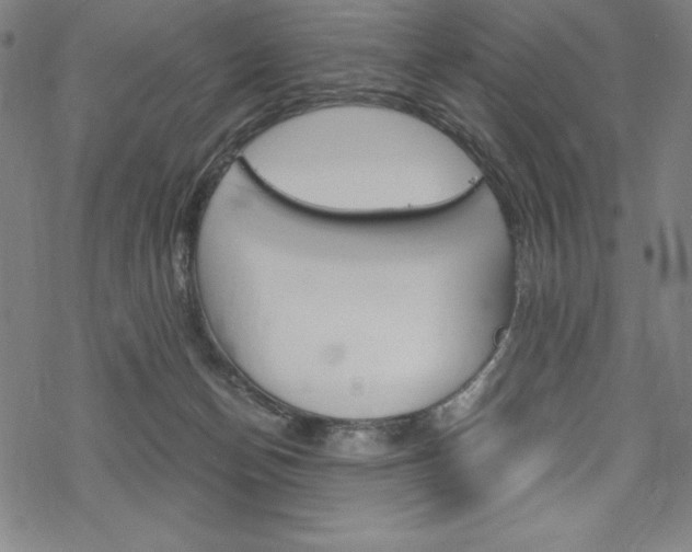 X0000068830174200605050927