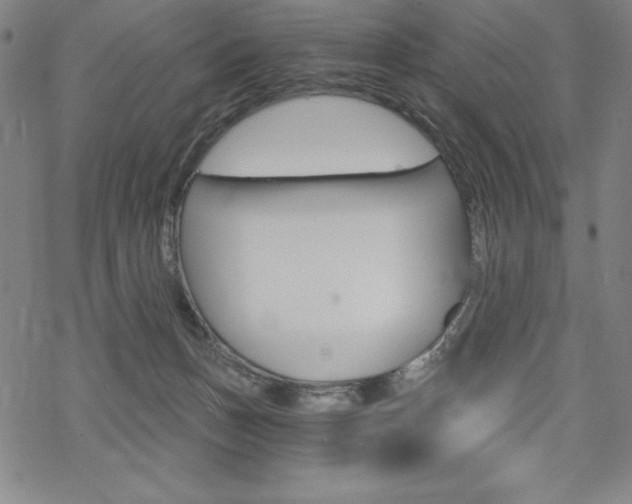 X0000068830175200605050927