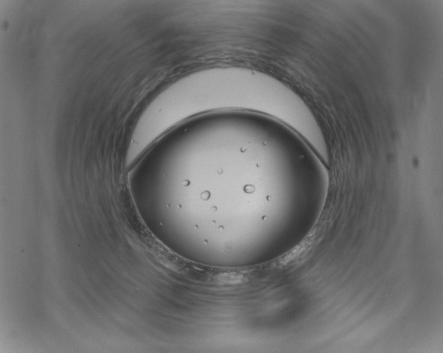 X0000068830176200605050927