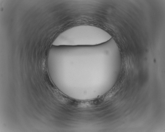 X0000068830177200605050927