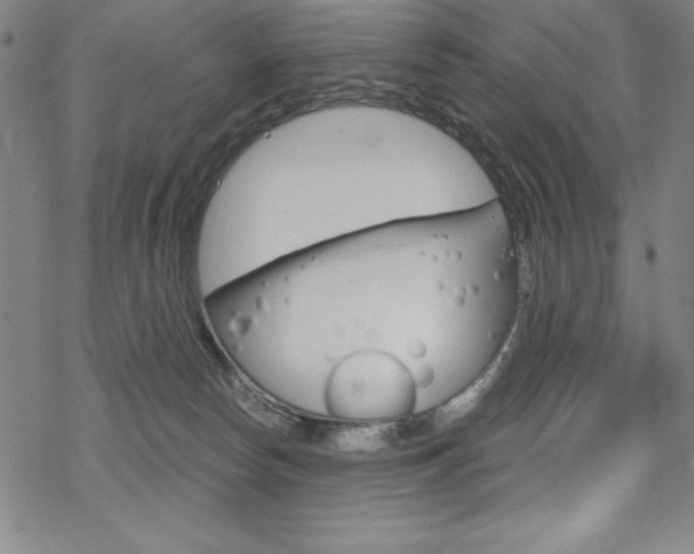 X0000068830178200605050927