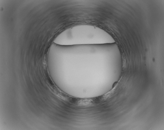 X0000068830179200605050927