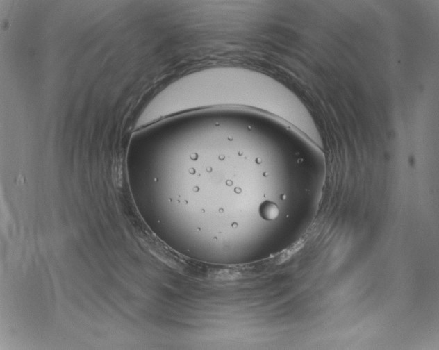 X0000068830180200605050927