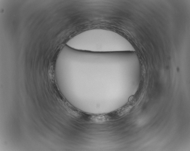 X0000068830181200605050927