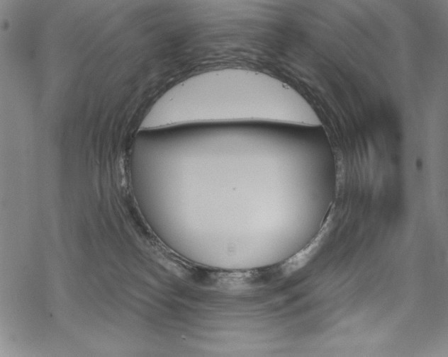 X0000068830182200605050927