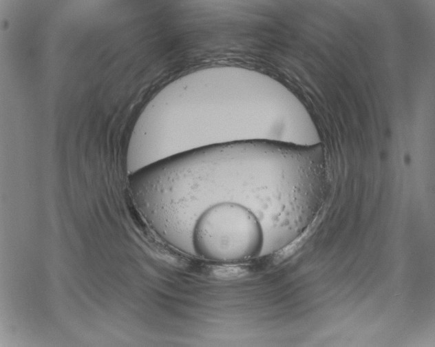 X0000068830183200605050927