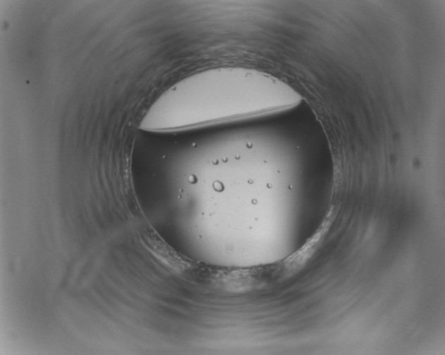 X0000068830186200605050927