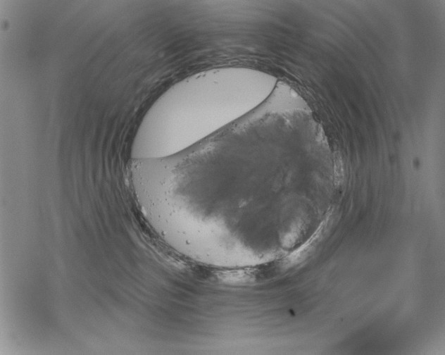 X0000068830187200605050927