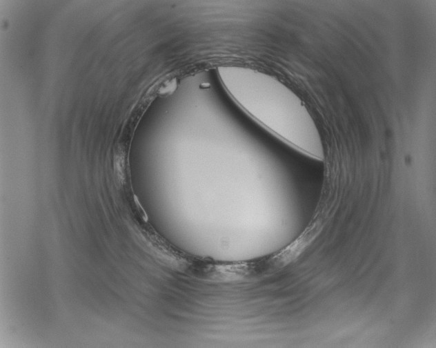 X0000068830188200605050927