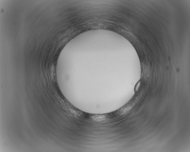 X0000068830189200605050927