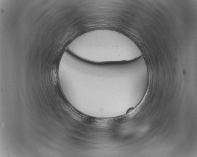 X0000068830190200605050927