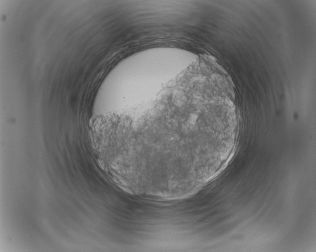 X0000068830191200605050927