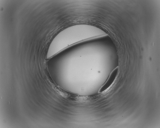 X0000068830192200605050927