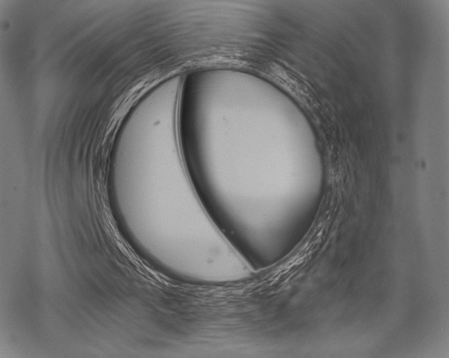 X0000068830193200605050927