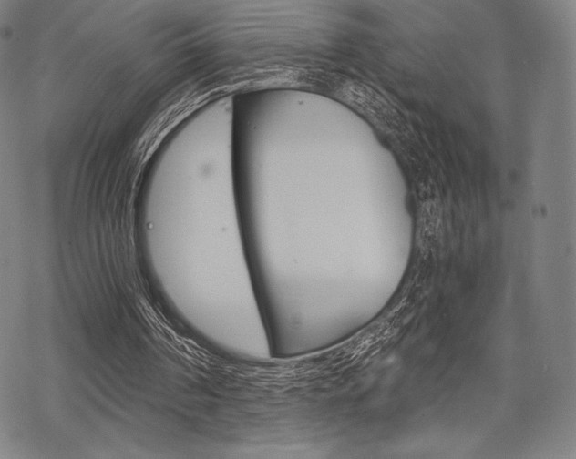 X0000068830194200605050927