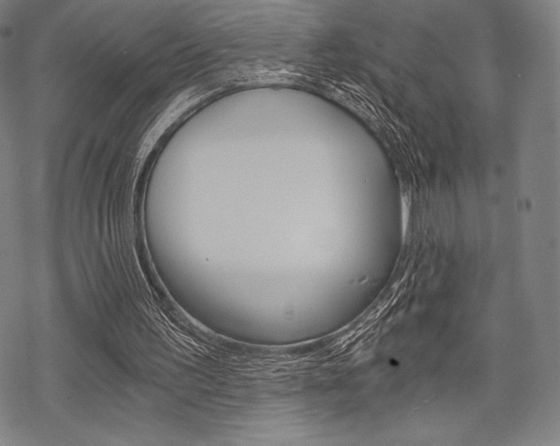 X0000068830195200605050927