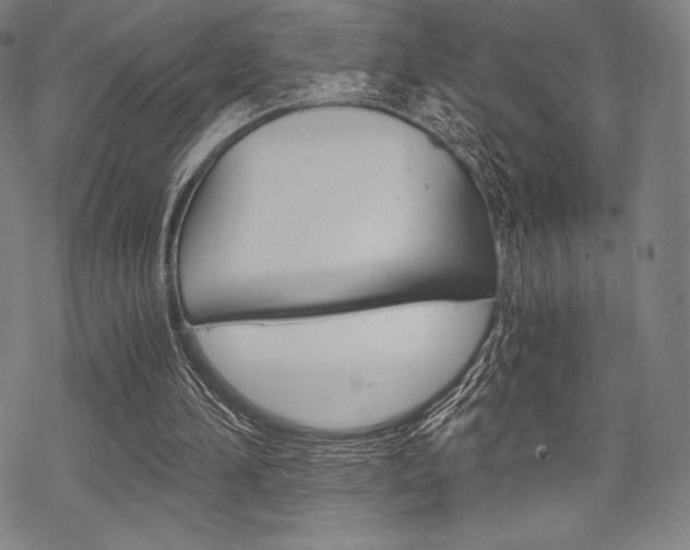 X0000068830196200605050927