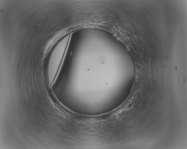 X0000068830197200605050927