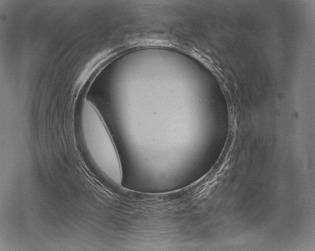 X0000068830199200605050927