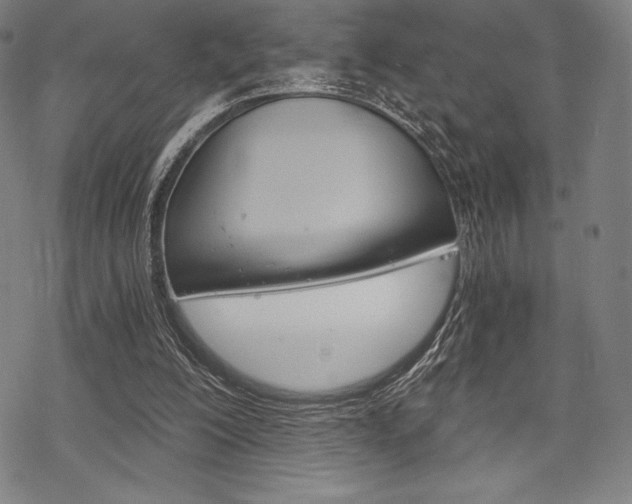 X0000068830200200605050927