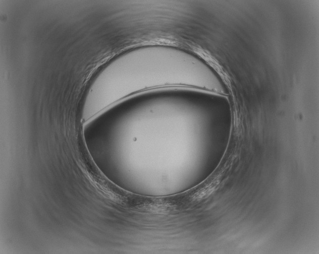 X0000068830201200605050927