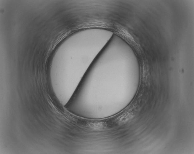 X0000068830202200605050927