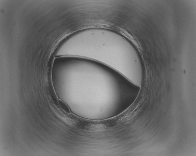 X0000068830203200605050927