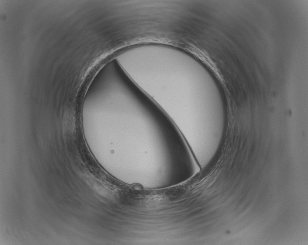 X0000068830204200605050926