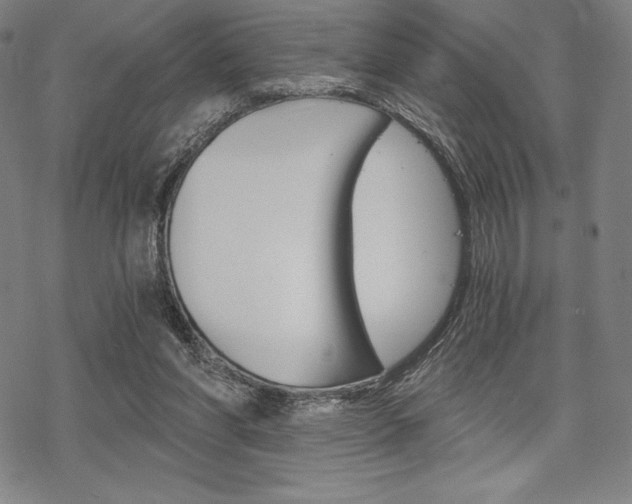 X0000068830206200605050926