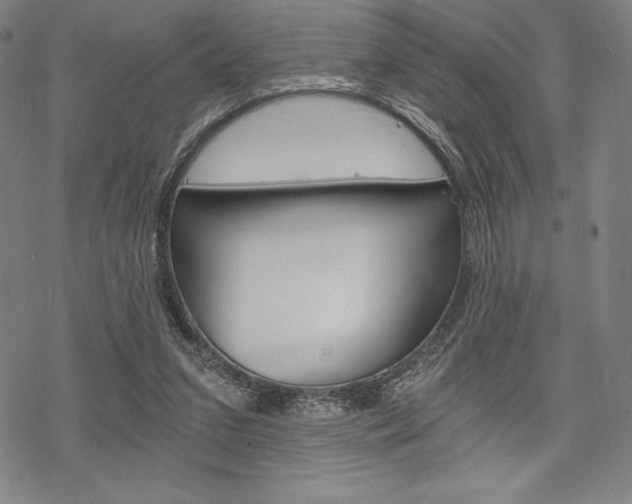 X0000068830207200605050926